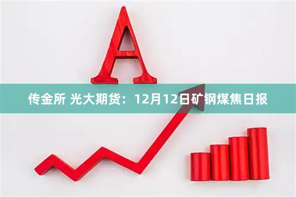 传金所 光大期货：12月12日矿钢煤焦日报