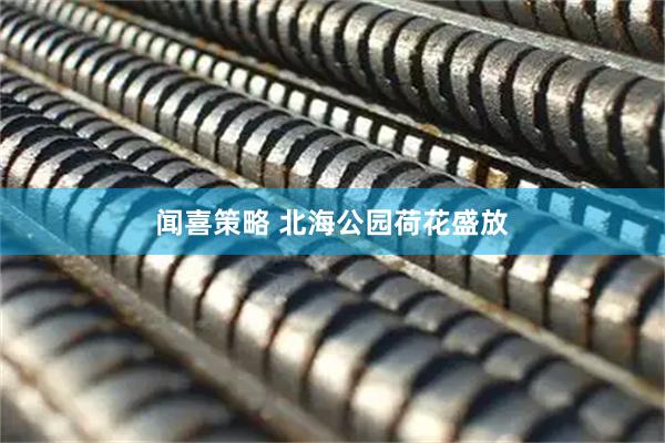 闻喜策略 北海公园荷花盛放